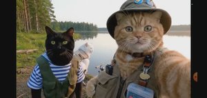 коты на рыбалки , приключения рыжего 1 серия