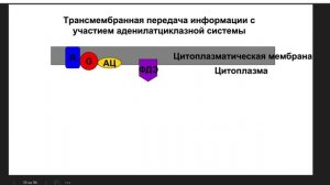 биохимия.вводная лекция