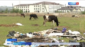 Критическая ситуация с вывозом мусора в Исламее
