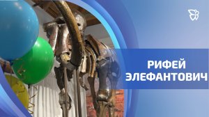 Рифею Элефантовичу в этом году исполнилось 100 лет