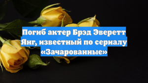 Погиб актер Брэд Эверетт Янг, известный по сериалу «Зачарованные»
