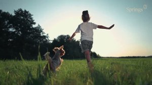 Springs от UNIQ Development