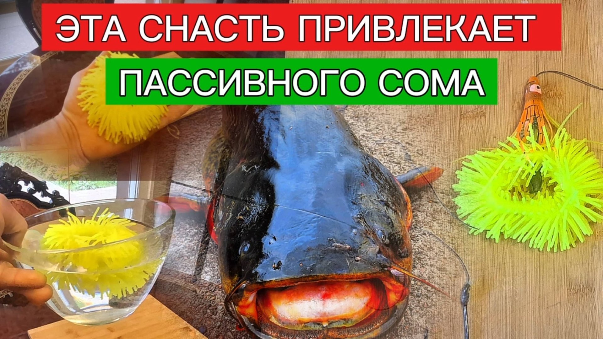 СНАСТЬ на СОМА. Рабочая и ОЧЕНЬ ЭФФЕКТИВНАЯ. СНАСТЬ на пассивного сома.