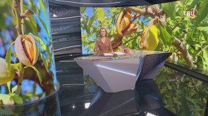 В Крыму наращивают промышленное производство миндаля / События на ТВЦ