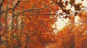 Викусик Юлдашева - Осень Осенний листопад