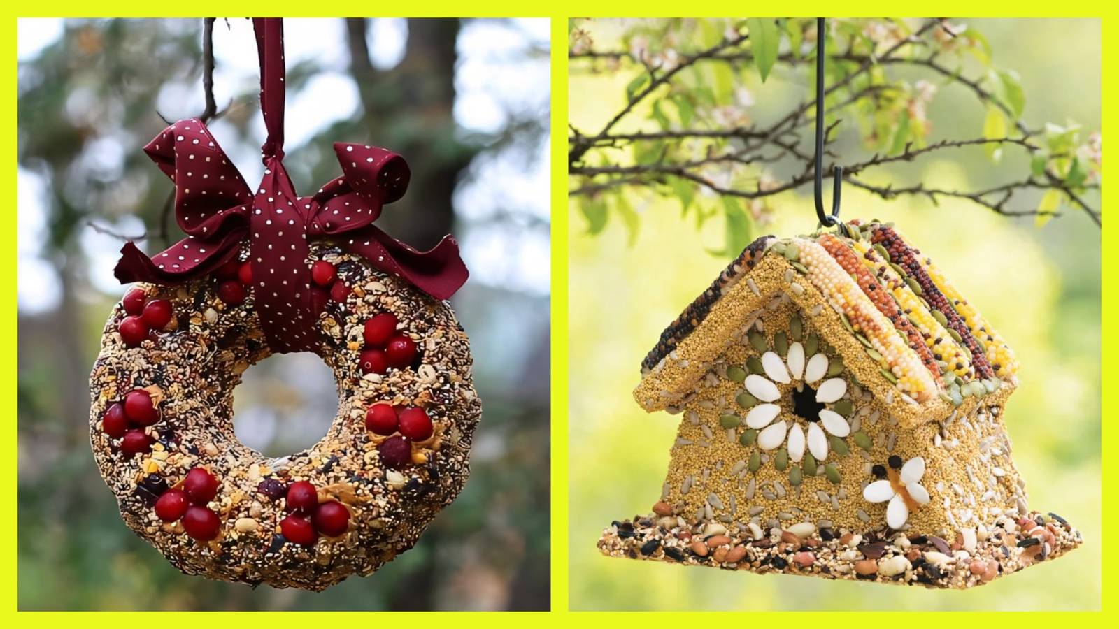 Съедобная кормушка для птиц своими руками: мастерим с детьми и радуем пернатых! ❄️🐦🏡