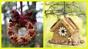 Съедобная кормушка для птиц своими руками: мастерим с детьми и радуем пернатых! ❄️🐦🏡