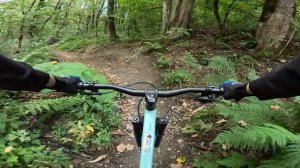 Красная Поляна.mp4