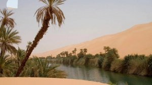 И пески, и оазисы