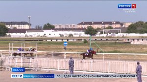 Зрелищные скачки завершат сезон в Нальчике