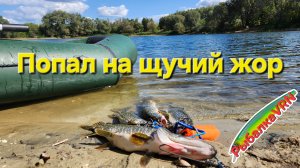 [2025]Рыбалка на спиннинг в сентябре 3