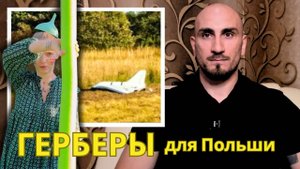 Букет ГЕРБЕР для Польши