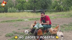 Содержание кур в домашних условиях и других птиц во дворе у Роберта 🐣🐤🦆🐔🪿🦃 (246)