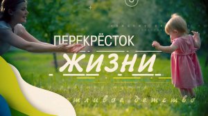 Как и чем живут ребята из центра содействия семейному устройству "Звездный" ? Перекрёсток жизни.