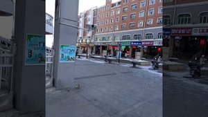 Китай.Маньчжурия торговая улица!