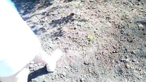 VID_20250618_154219.3gp