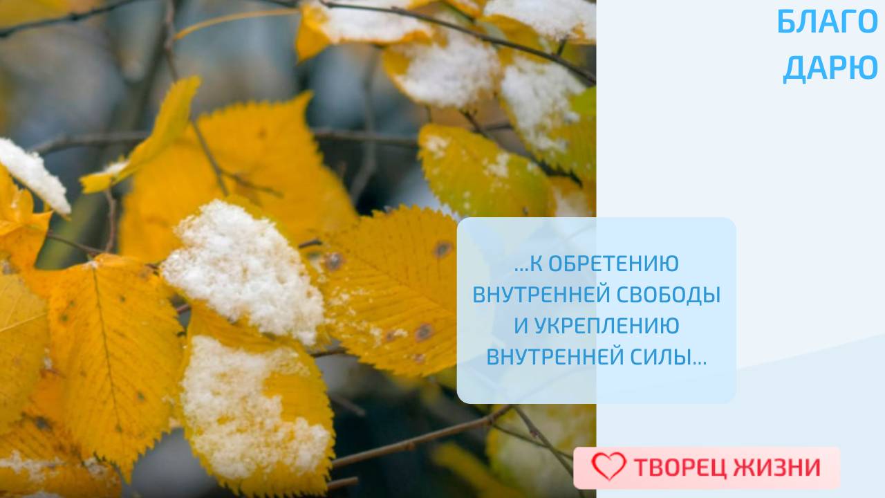 Благодарю за возможность изменяться и развиваться!