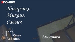 Назаренко Михаил Саввич. Проект "Я помню" Артема Драбкина. Зенитчики.