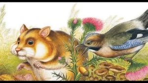 Литер.калейд 4.09.