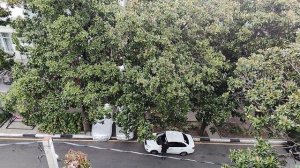 Лазаревское ЗАМЕРЛО в ожидании БУРИ 18.09.25