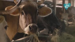 На Смоленщине отметили серьезный рост урожайности