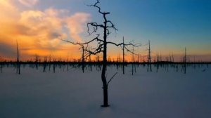 #печора город, Печора река