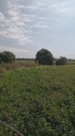 1 Липецкая Сугробы (2)