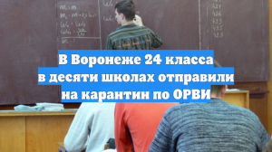 В Воронеже 24 класса в десяти школах отправили на карантин по ОРВИ