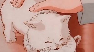 Про милых котиков.Мультик.