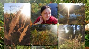 Рассказ на английском языке о своих выходных - Прогулка по лесу