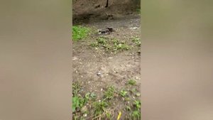 Гуляем по Магнишохтанскому парку