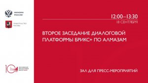 Второе заседание диалоговой платформы БРИКС+ по алмазам