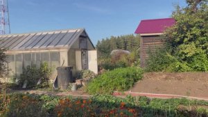 БАБЬЕ ЛЕТО НА УРАЛЕ/ УБОРКА УРОЖАЯ