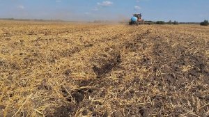 Вносим безводный аммиак осенью.