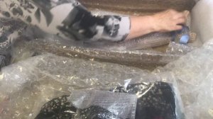 Распаковка Цвергназе Oceane 1