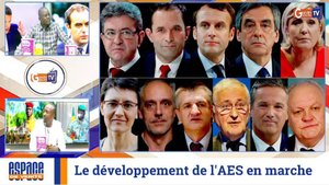 La Cour de justice de l'AES