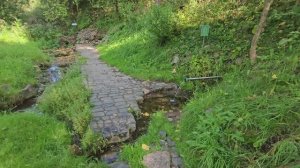 Святой источник преподобного Саввы Сторожевского, г. Сергиев Посад. 15 августа 2024 г.