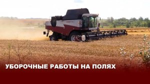 Уборочные работы на полях