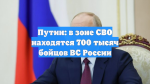 Путин: в зоне СВО находятся 700 тысяч бойцов ВС России