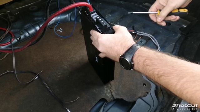 Усилитель от Компании Prology