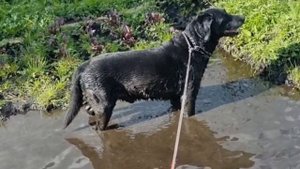 Купальный  сезон не закрыт