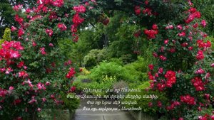 ,,ԻՆՉՔԱՆ ՇԱՏ ԵՆ ՔՈ ՕՐՀՆՈւԹՅՈւՆՆԵՐ,,  -  Հեղինակային երգ,  կատարում է հեղինակը՝ ԱՆԱՀԻՏ ՄԵԼՔՈւՄՅԱՆԸ