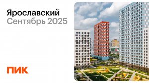 Ярославский 03.09.2025