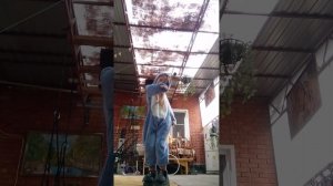 танец стича. 💃🕺