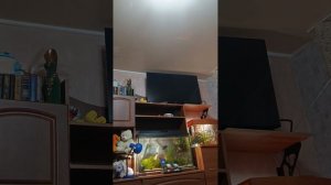 я. стреляю. по. целям. с. двух. стволки