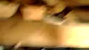 Голуби друга #2