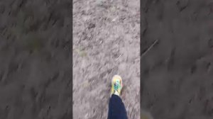 Веселимся с Мишей:)