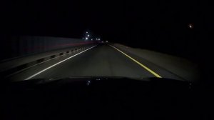 🫎Еще один лось едва не стал причиной ДТП — водитель смог вовремя среагировать и увернуться🫎