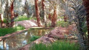 Оазис — место для жизни