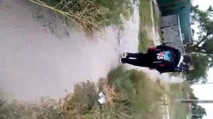 хомо сапиенс громко орущий 2